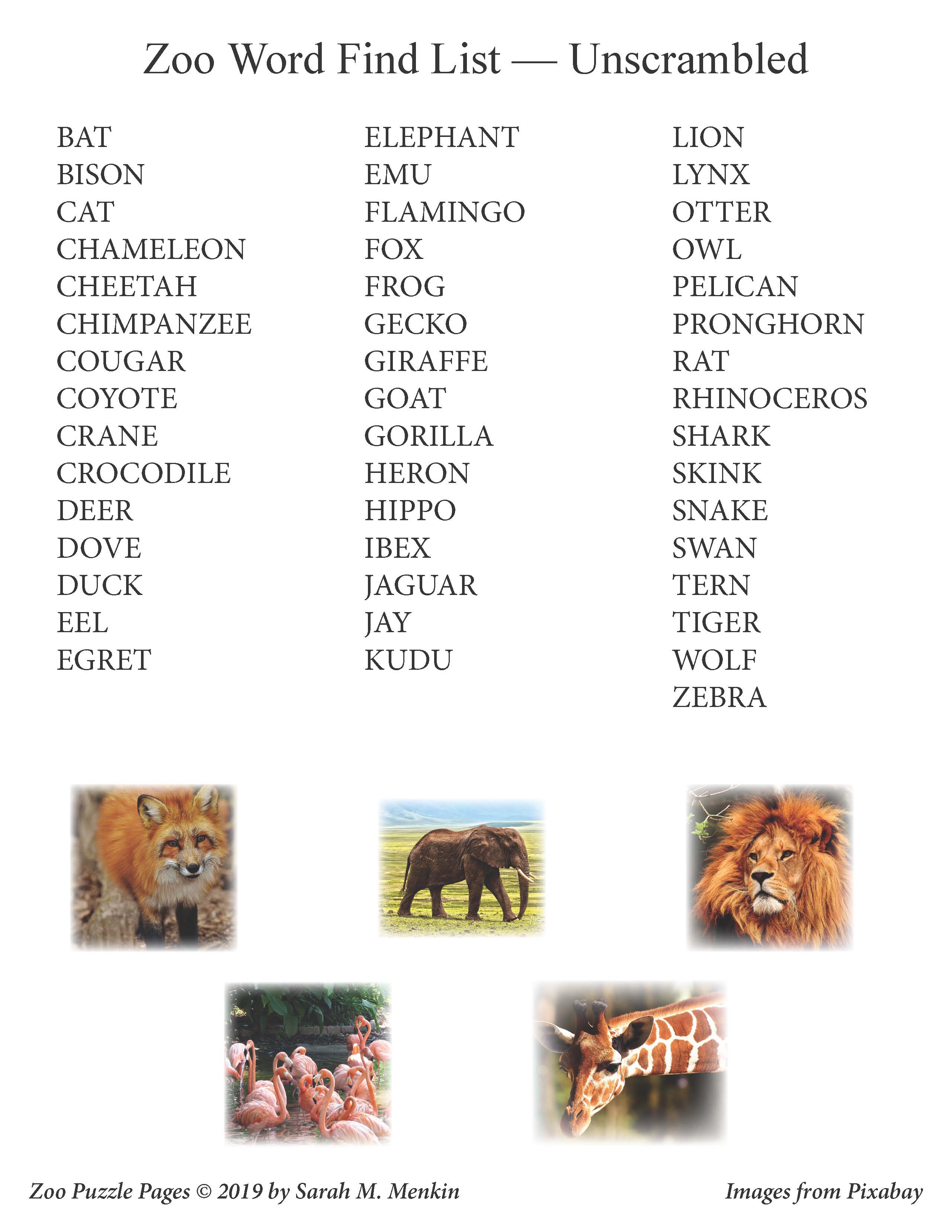 Cheetah cat rat puzzle hotsell